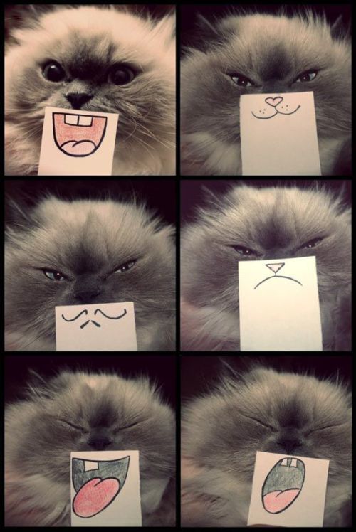  Found on themetapicture.com