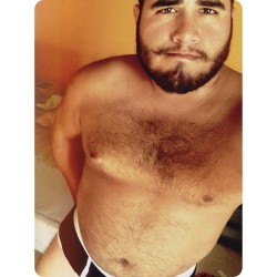 kabutocub:  mrrobotico:  Early tummeh Tuesday. #gaycub #gaybear  Ugh, so hot!