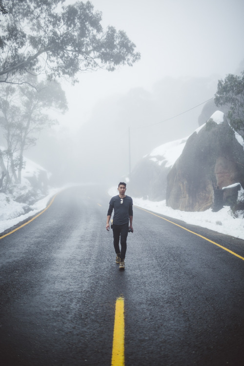 theadventuretruck: A few last photos halfway down Mount Buffalo in the morning fog.