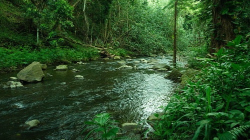 ps1:
“Upstream from Ho’opi Falls
”