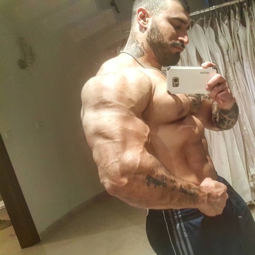 Big muscles adult photos