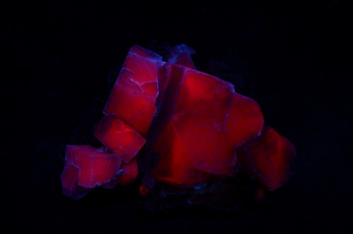  Fluorite from the Ojuela Mine, Mapimi, Durango, Mexico.  Pictured under Long wave ultraviolet and w