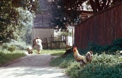 sovietpostcards:Tarusa, Kaluga region (1985)