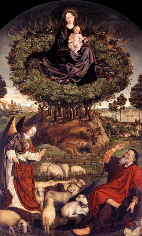 centuriespast:  FROMENT, NicolasThe Burning Bush1476Wood, 410 x 305 cmCathedrale Saint Sauveur, Aix-en-Provence  
