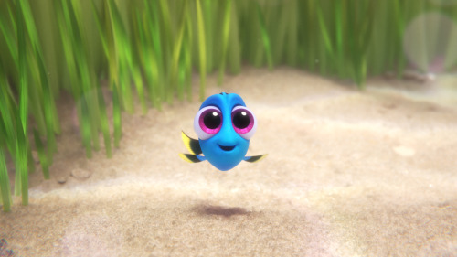tastefullyoffensive:  disneypixar:  Cuddle parties are forever.  Video: Meet Baby Dory From Pixar’s ‘Finding Dory’ 