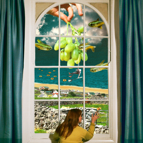 made art for orla’s new song more like you ! huge grapes, even huger song (ig / twitter / spotify / 