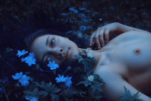 elenahelfrecht:  Nightflowers. Model: AnyaFacebookFlickrWebsite