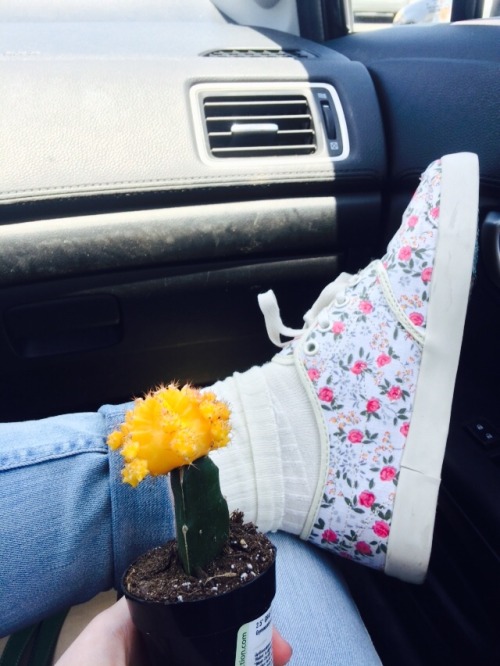 monetmom:  new cactus! welcome to the family bumblebee!!