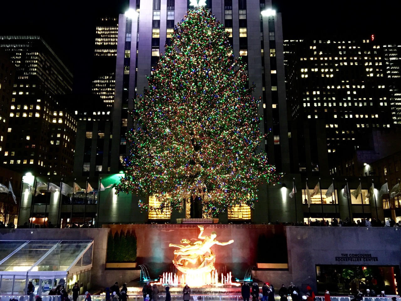 Vem Pra NY! — Árvores de Natal em NY