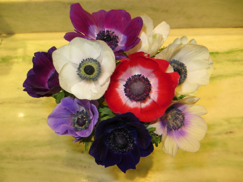 Anemones