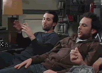 charliedayquotes:  LET’S CHOP CATS