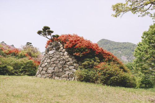 boohwanj:2019-05-04