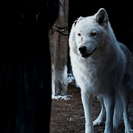 tumblr_psbzr8vHrY1r00543o2_r1_400.gif