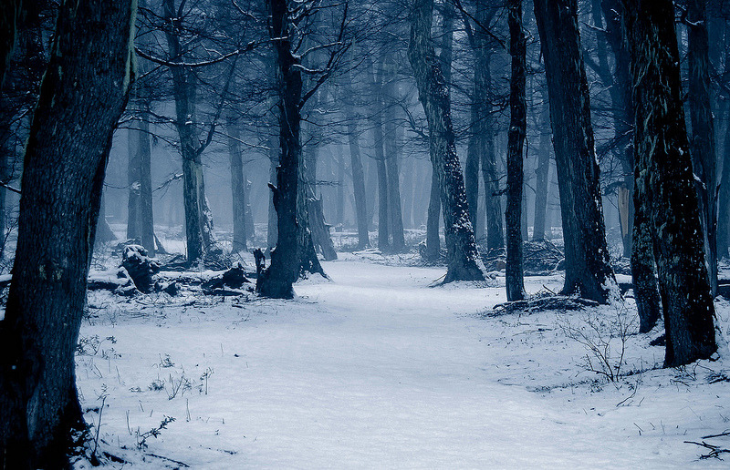 pela-schmidt:  Winter Blues, Challhuaco Valley, Patagonia, Argentina.©Pela SchmidtTumblr