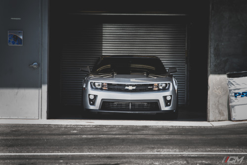 rralker:  American Muscle 