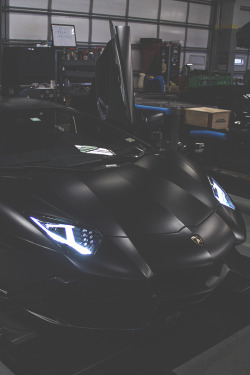 modernambition:  Working on the Bull | Instagram