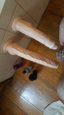 What do you think of my slutty ass and toys