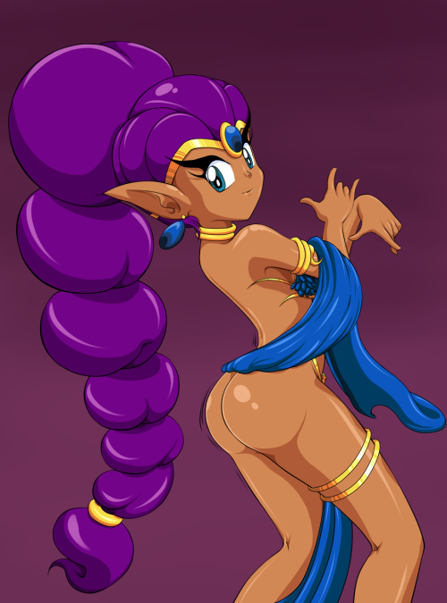 mr-pepipopo:  Here’s a new picture of Shantae i was in the need of finish since last month.