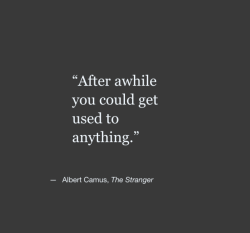 wordsnquotes:  Albert Camus  |  @wordsnquotes