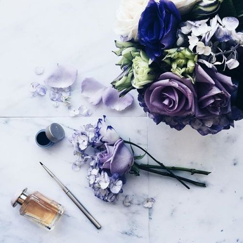 sahngria: stylishblogger: The quiet before the storm this AM. Thank you for the gorgeous bouquet of 