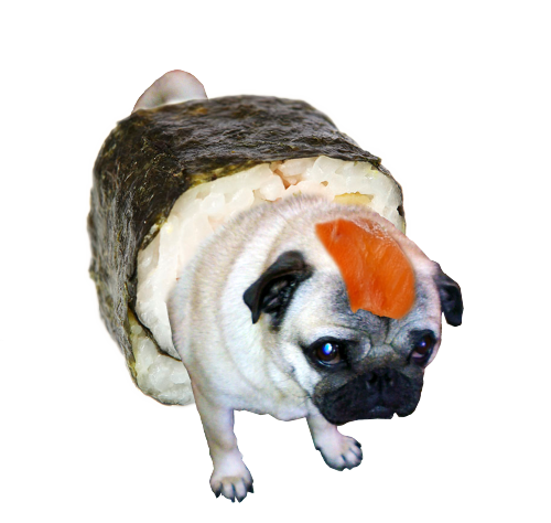 Sushi pug