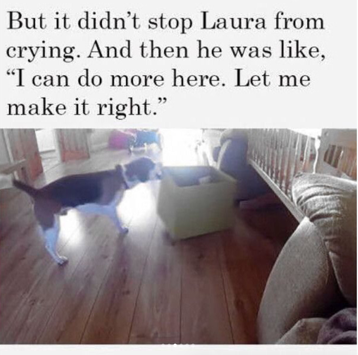 babyanimalgifs:  Charlie is a good boy