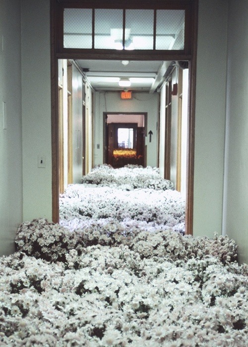detention:  I FOLLOW BACK 1OO% 