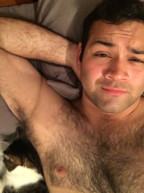 inafrankmanner:  🐱🐻