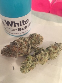 cannibowl-pa:White Buffalo.