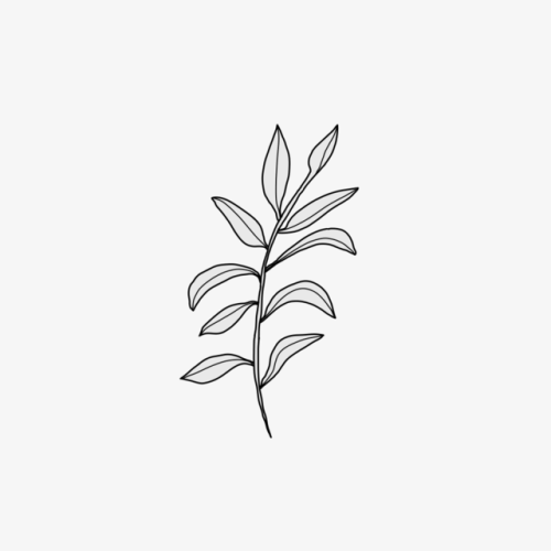 polydeuce: 05. 14. 18 — herbs