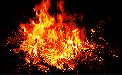  Harry Potter + fire part II 