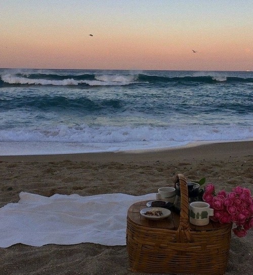 lesbian lovers on a picnic by the beach