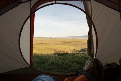 Camping in Carrizo Plain National Monument