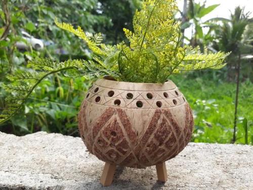 Carved Coconut Shell Planter //Handmadebyyucrack