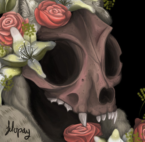 Tatucuna [Cat Skull]