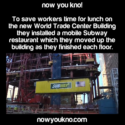 nowyoukno:  Now You Know (Source)