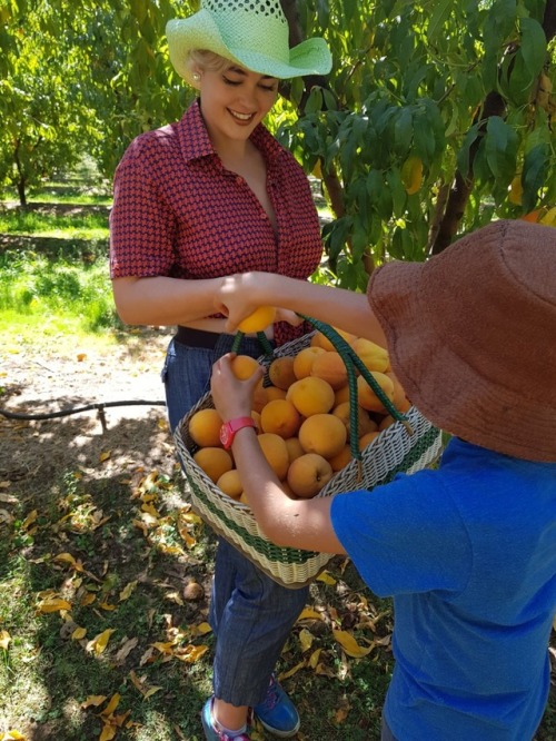 stefaniaferrario:Collecting peaches in Cobram Peachjack X3