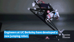 ucresearch: A robot that can do parkour Engineers at UC Berkeley have designed a small robot that can leap into the air and then spring off a wall. It has the greatest vertical jumping ability ever recorded in a robot. The design is based on jumping prima