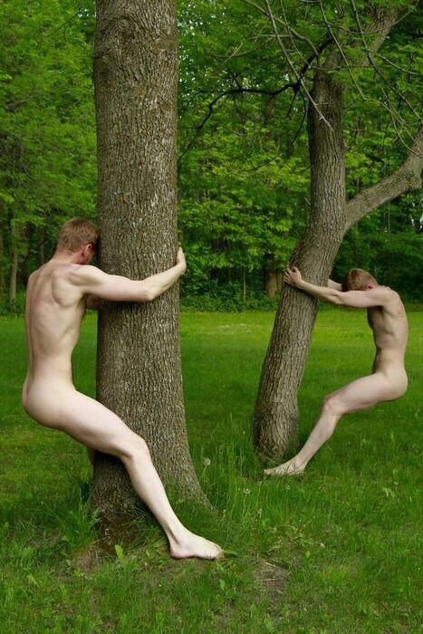Boys In The Trees