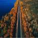 geographically-challenged:redfernrager-deactivated2020060:angel-kiyoss:Newfoundland
