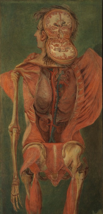 deathandmysticism: Jacques-Fabien Gautier D'Agoty, Dissected figures, Wellcome Collection, 1765