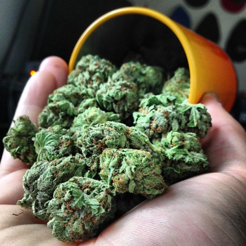 stashe-box:  Fill up the jar with the #dank moustachemunchies instagram 
