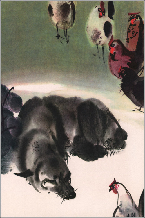 Mirko Hanák, Illustrations for Call of the Wild and White Fang