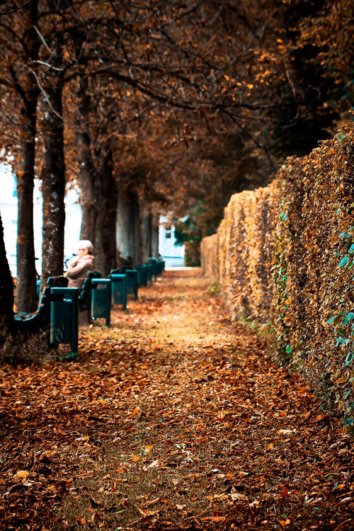 premiums:I love fall ~ By Bujar Gashi