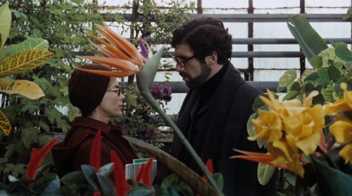 Elliott Gould, Bibi Andersson &amp; Max Von Sydow in Ingmar Bergman’s “The Touch&rdq