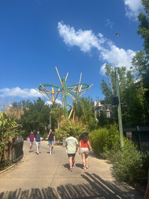 We're Shaking Things Up Today And Heading To Busch Gardens Tampa For Some Images Of Cheetah Hunt!