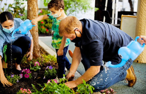 meghansboys:The Duke & Duchess of Sussex visited a Preschool Learning Center to help replant the