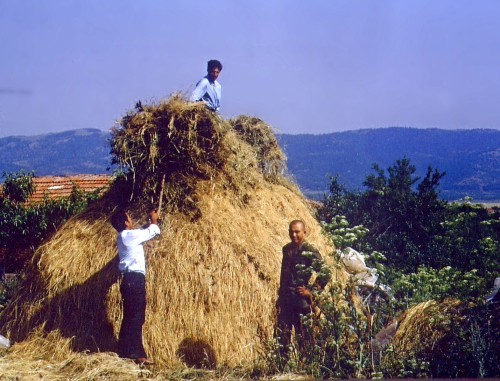 Photos captured everyday life of Polyanovo, Bulgaria in the 1970s.