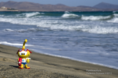 Fuerteventura, Isole Canarie (di Giussani Federico)