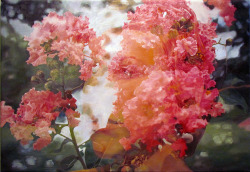 slowartday:  Paintings of double exposed